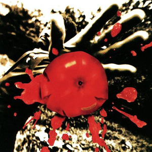 军舰上的女兵免费观看完整版全集
